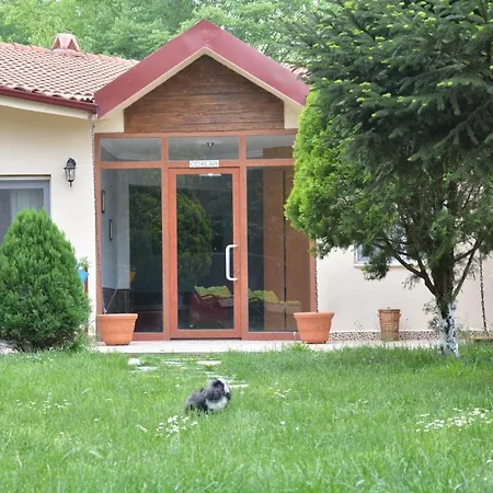Alex Village Life * Kocaeli