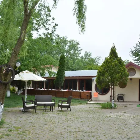 Alex Village Life