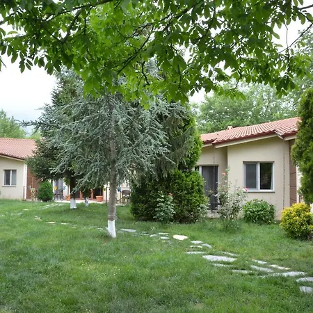 Hotel Alex Village Life *