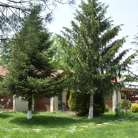 Alex Village Life