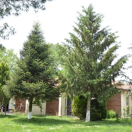 Alex Village Life Hotel