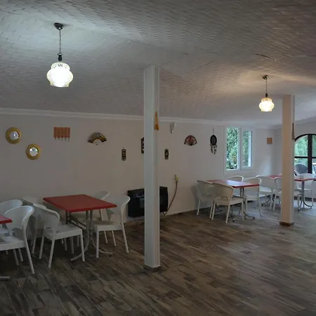 Alex Village Life Kocaeli