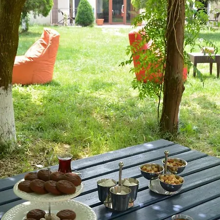 Alex Village Life Hotel