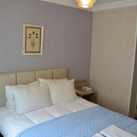 Hotel Alex Village Life